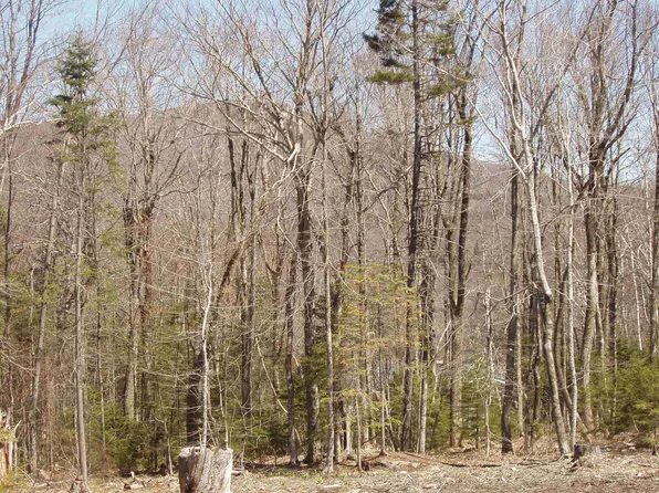 0 Moose Hollow Road #45, Winhall, VT 05340