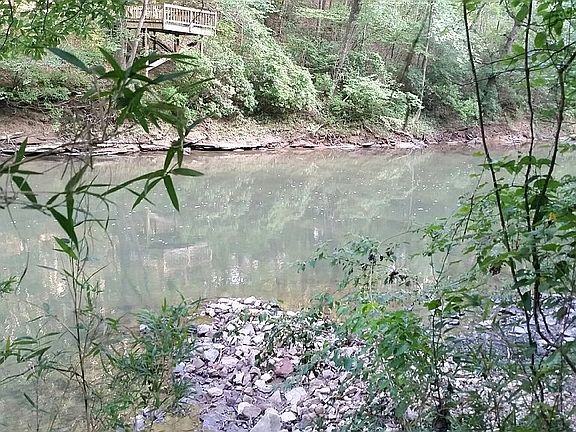 Cahaba River view at bank