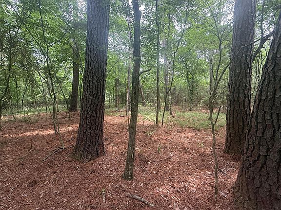 2nd image of Bilnoski Rd