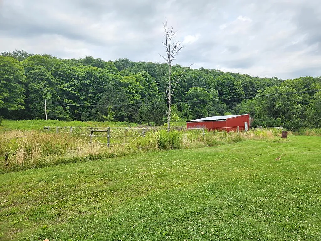 10822 Dry Run Rd photo 1
