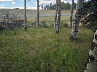 199 Joshua Rd, Divide, CO 80814