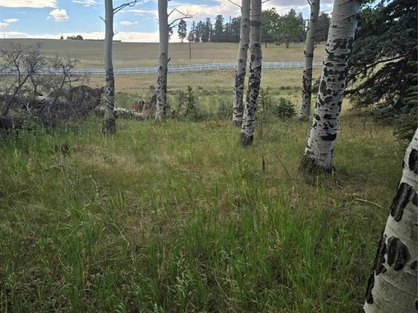 199 Joshua Rd, Divide, CO 80814