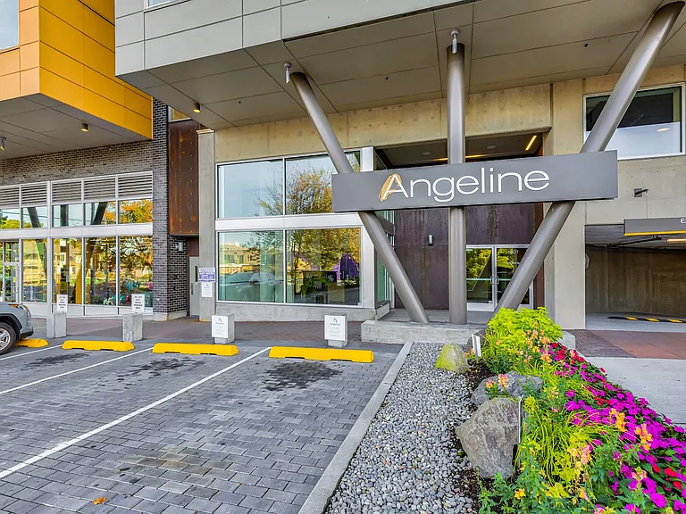Angeline — Photo 7