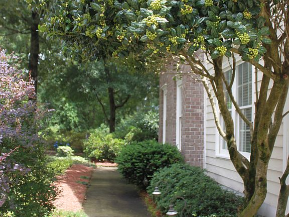 2nd image of 506 Pointe Dr