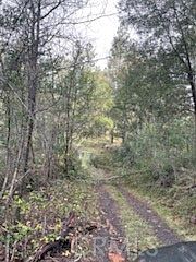 4th image of 178 Bloomer Hill Rd