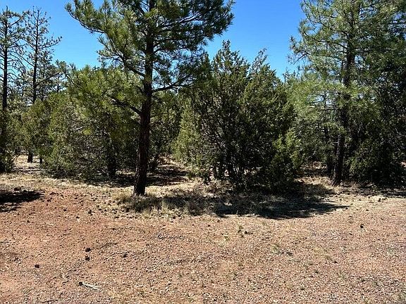 4th image of 4864 BISON Trail #40