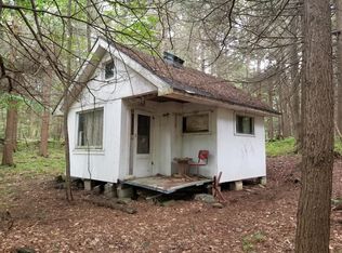 1402 Bear Mountain Rd, Forksville, PA 18616