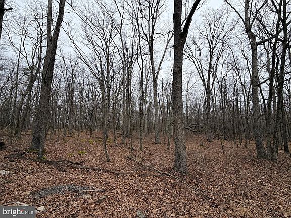 2nd image of 519 Haystack Dr