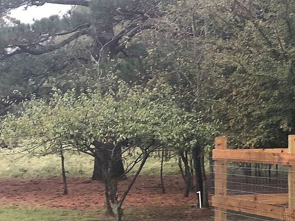 5th image of 1394 County Road 1102