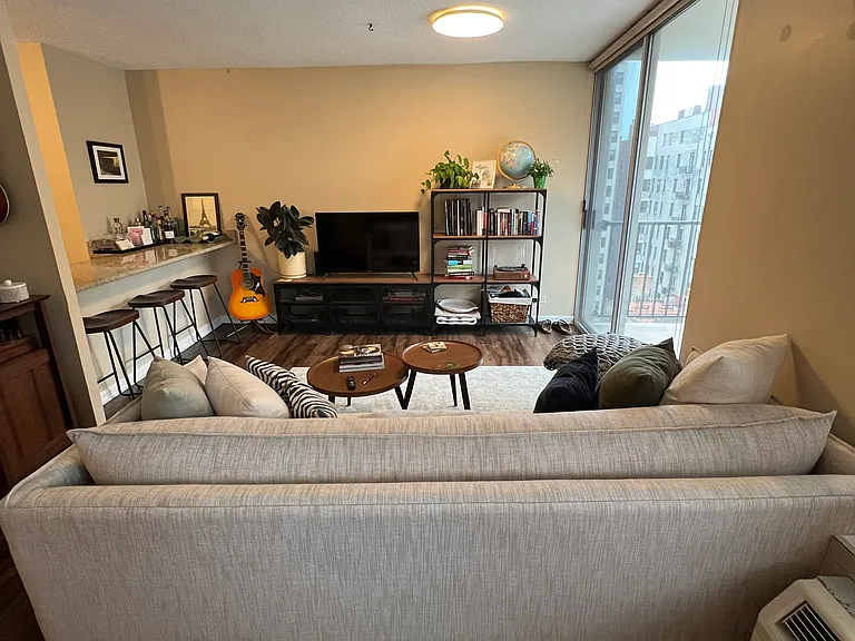 71 E Division St #1005 — Photo 12
