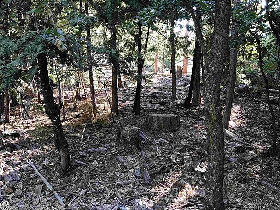4th image of 24195 Appaloosa Way