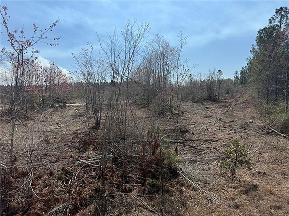 3rd image of 0 Bacon School Rd