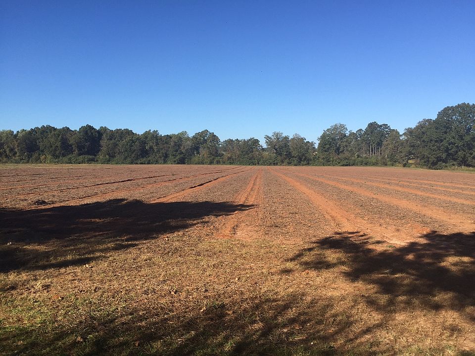 2nd image of 479 Mitchell Loop