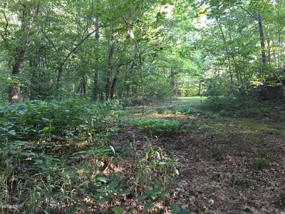150AC Keith Township, Rinard, IL, 62878