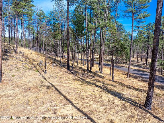 4th image of 210 Deer Creek Rd