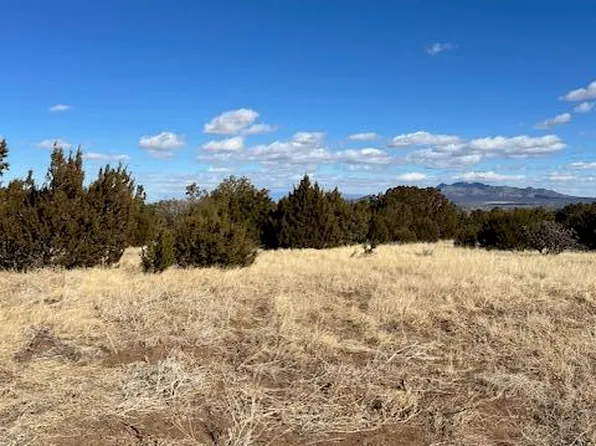 Kings Meadow Rd, Sandia Park, NM 87047