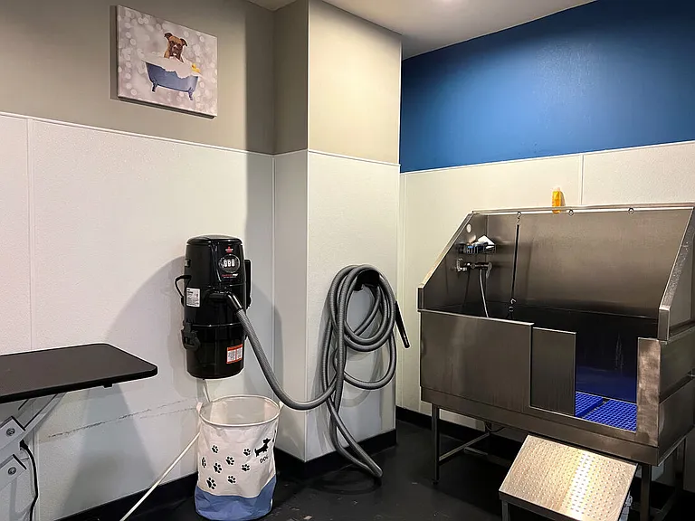 Dog Spa