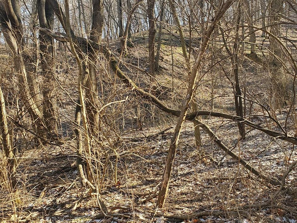 2nd image of 8003 N Galena Rd
