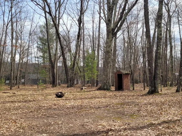 5580 N Syers Dr, Luther, MI 49656