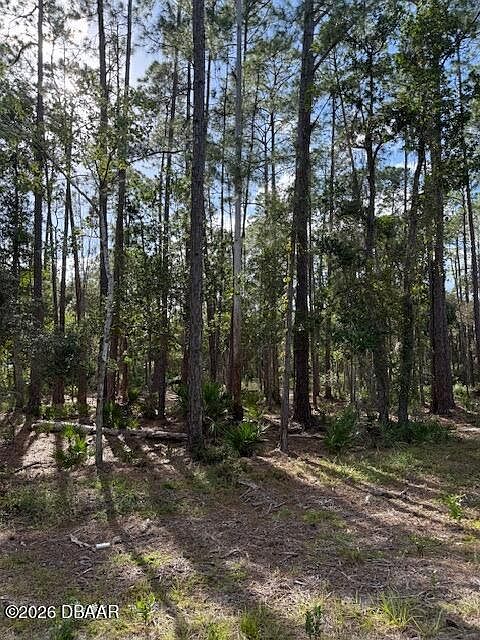 1st image of 207 Ocala Ct