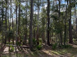 207 Ocala Ct, Georgetown, FL 32139