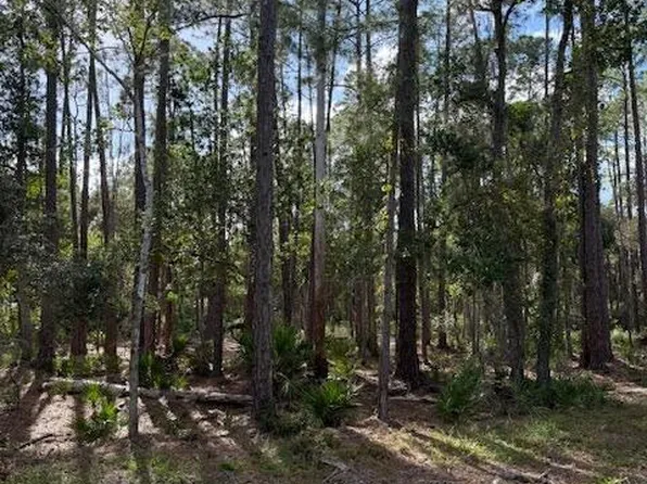 207 Ocala Ct, Georgetown, FL 32139