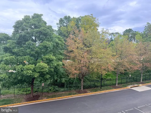 7000 Falls Reach Dr APT 203, Falls Church, VA 22043