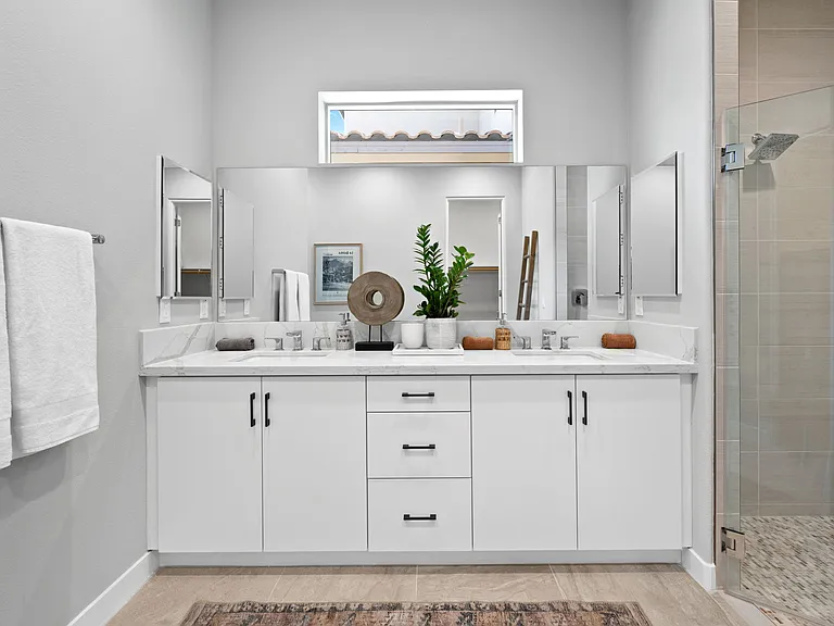 Master Suite Bathroom