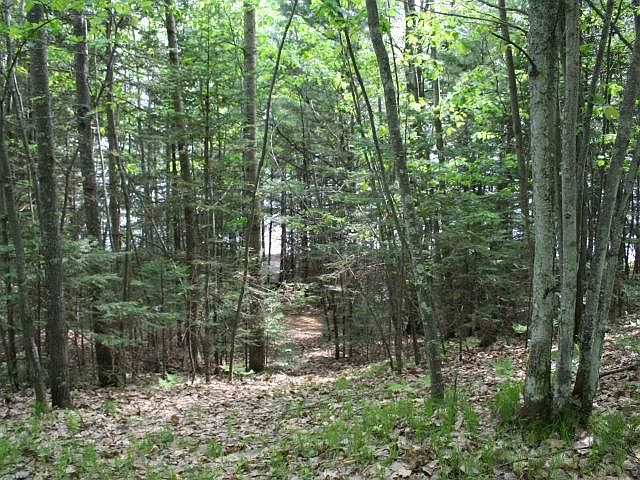 1st image of 8278 Big Saint Germain Dr