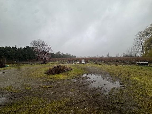 5th image of 12853 Harris Rd