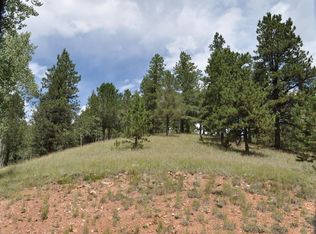 54 Eagle Dr, Divide, CO 80814