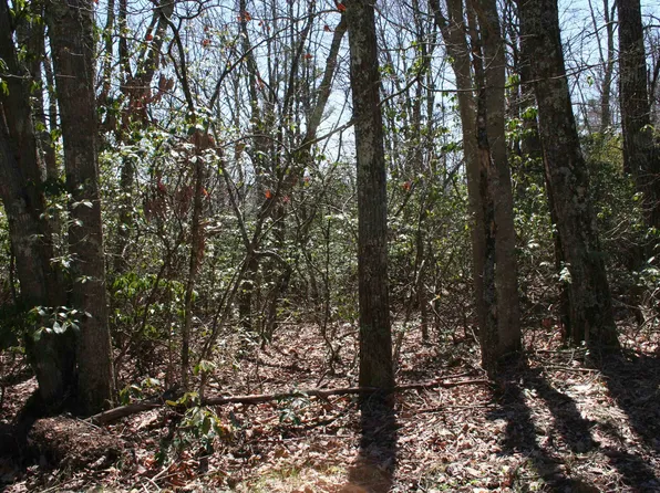 Summit Drive Summit Dr N, Monterey, VA 24465