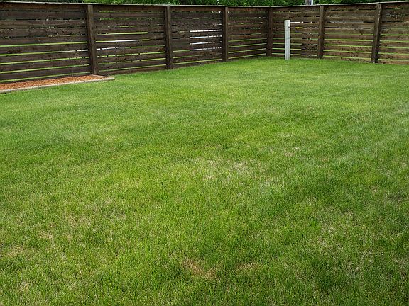 Back yard with privacy fence