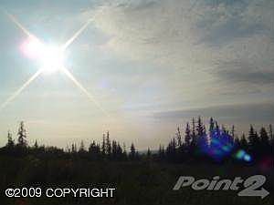 LET THE SUN SHINE IN