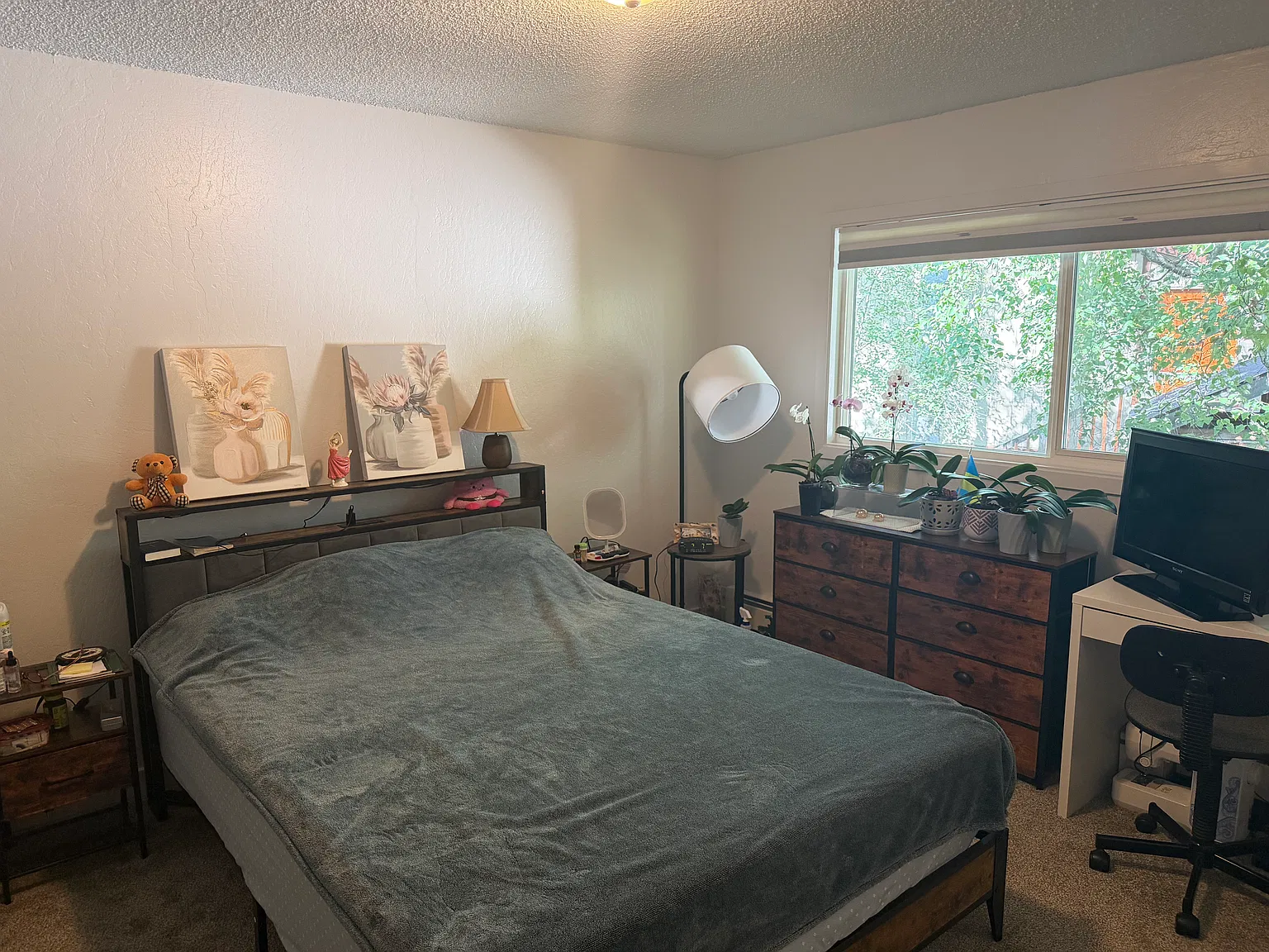 2 bed, $800 — Photo 3