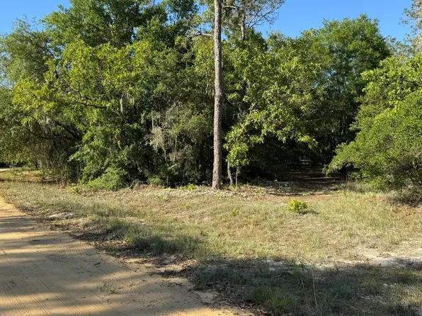 0 ARNOLD Avenue, Interlachen, FL 32148