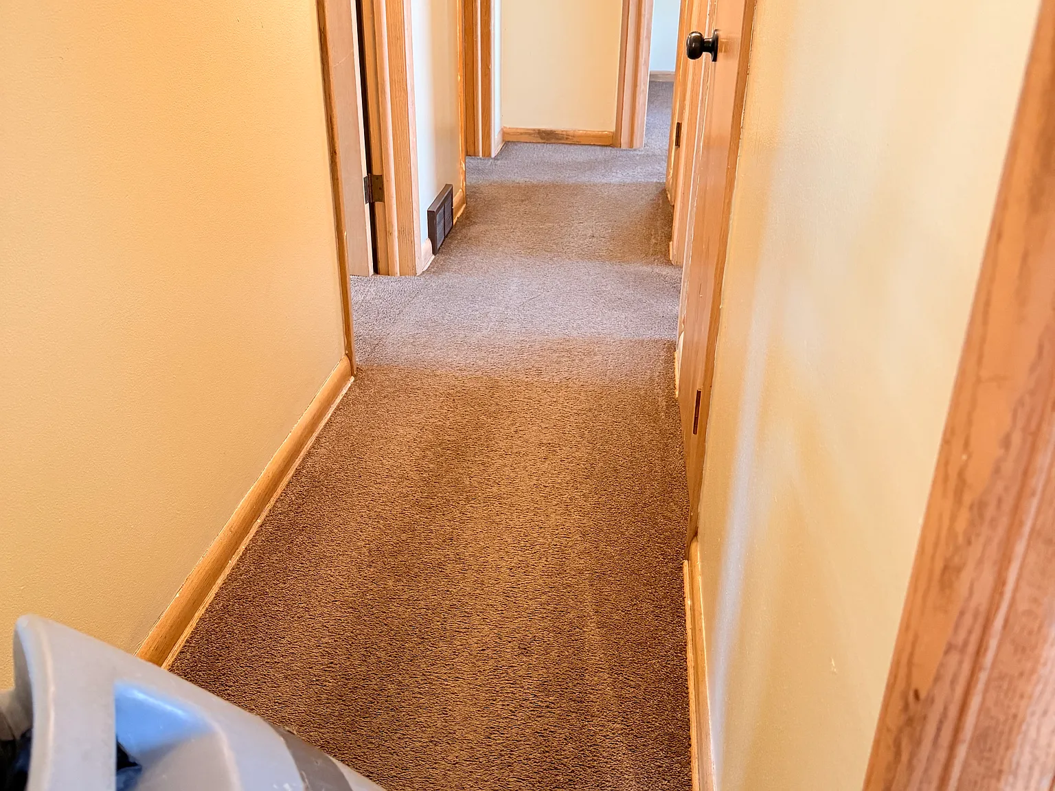 3 bed, 800 sqft, $1,500 — Photo 1