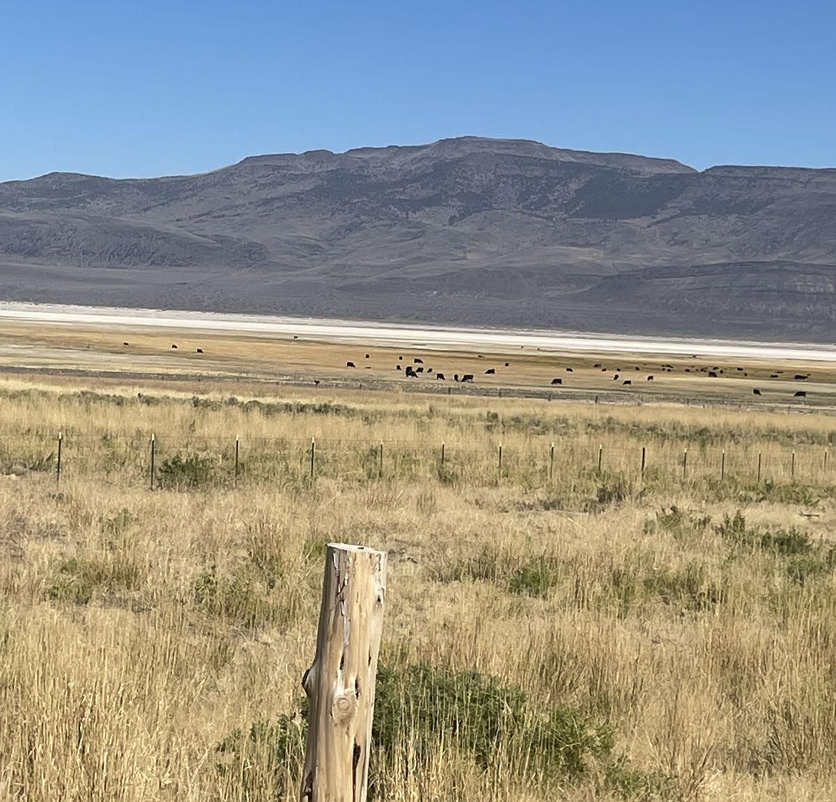 0 County Road 1, Eagleville, CA 96110 Zillow