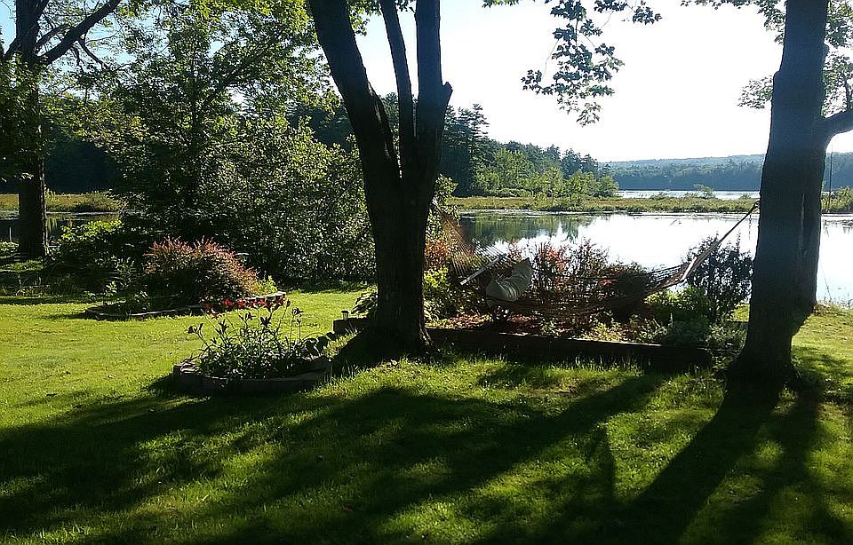 The Back Yard