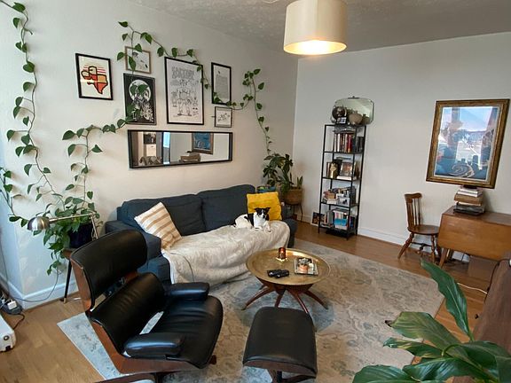 Spacious living room with high cielings - great natural light