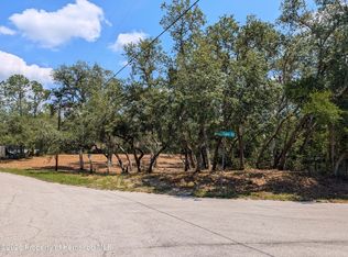 0 Merlin Cir, Dade City, FL 33523