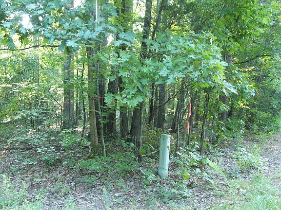 5th image of 319 Whitney Ln Lot 5