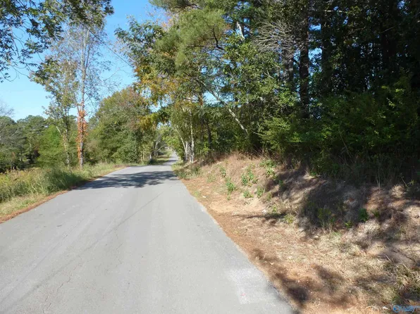 40 McPeters Dr Tract 2, Killen, AL 35645