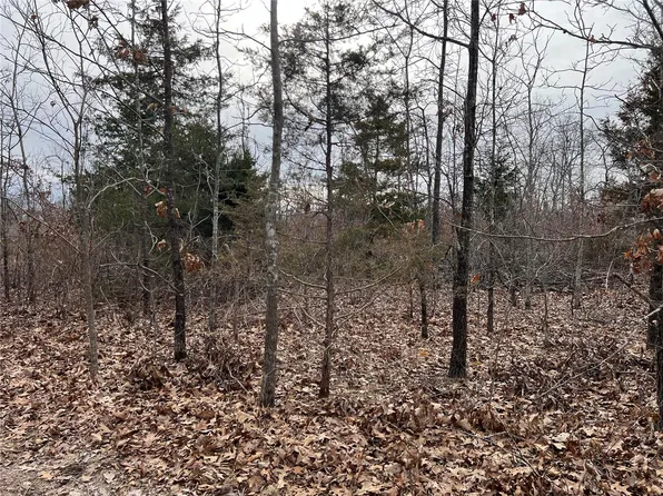 2 Highway 17, Success, MO 65570