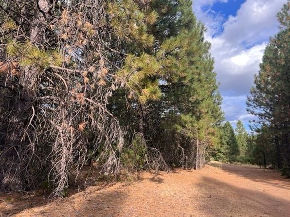 621 Greenville Wolf Creek Rd, Greenville, CA 95947