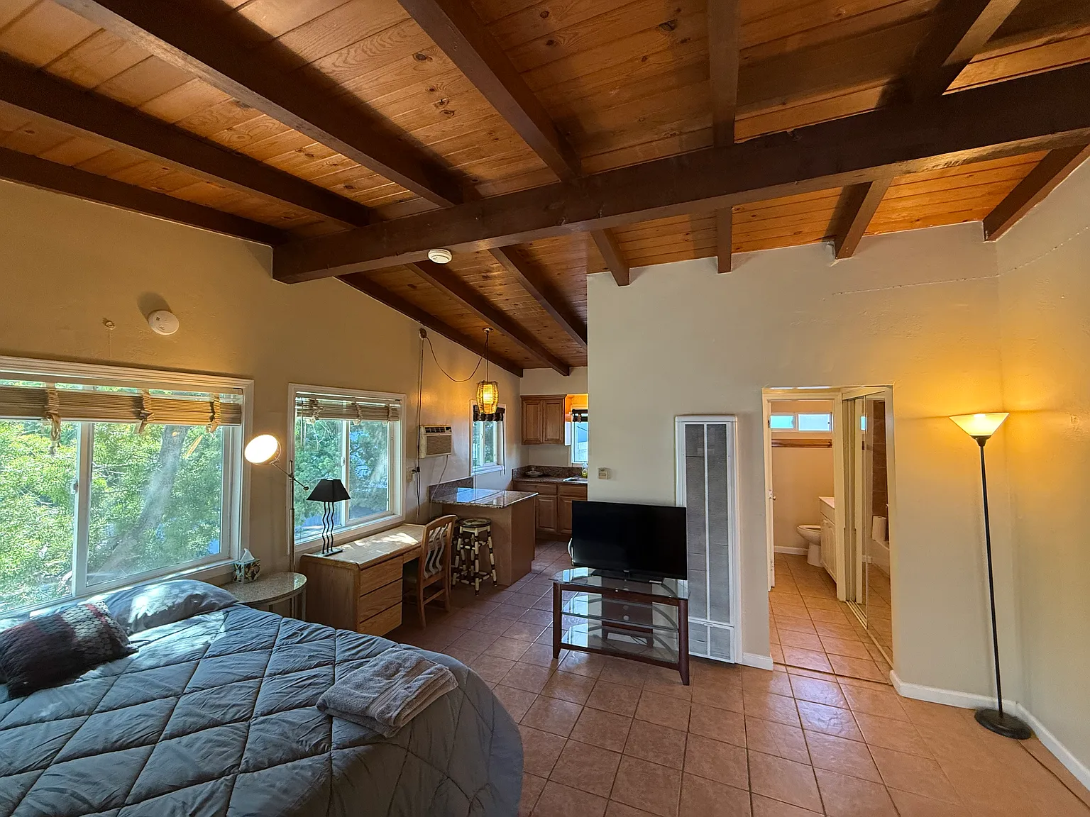 Studio, 460 sqft, $2,395 — Photo 3