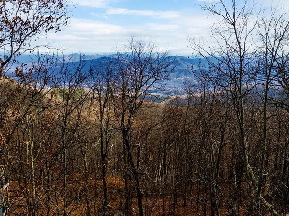 303 White Oak Dr, Roseland, VA 22967