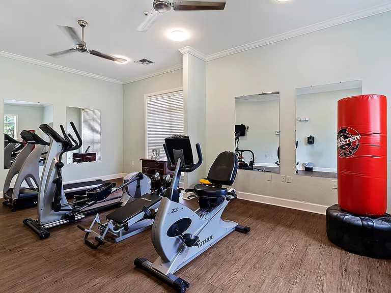 Cardio station in Gym with Punching bag