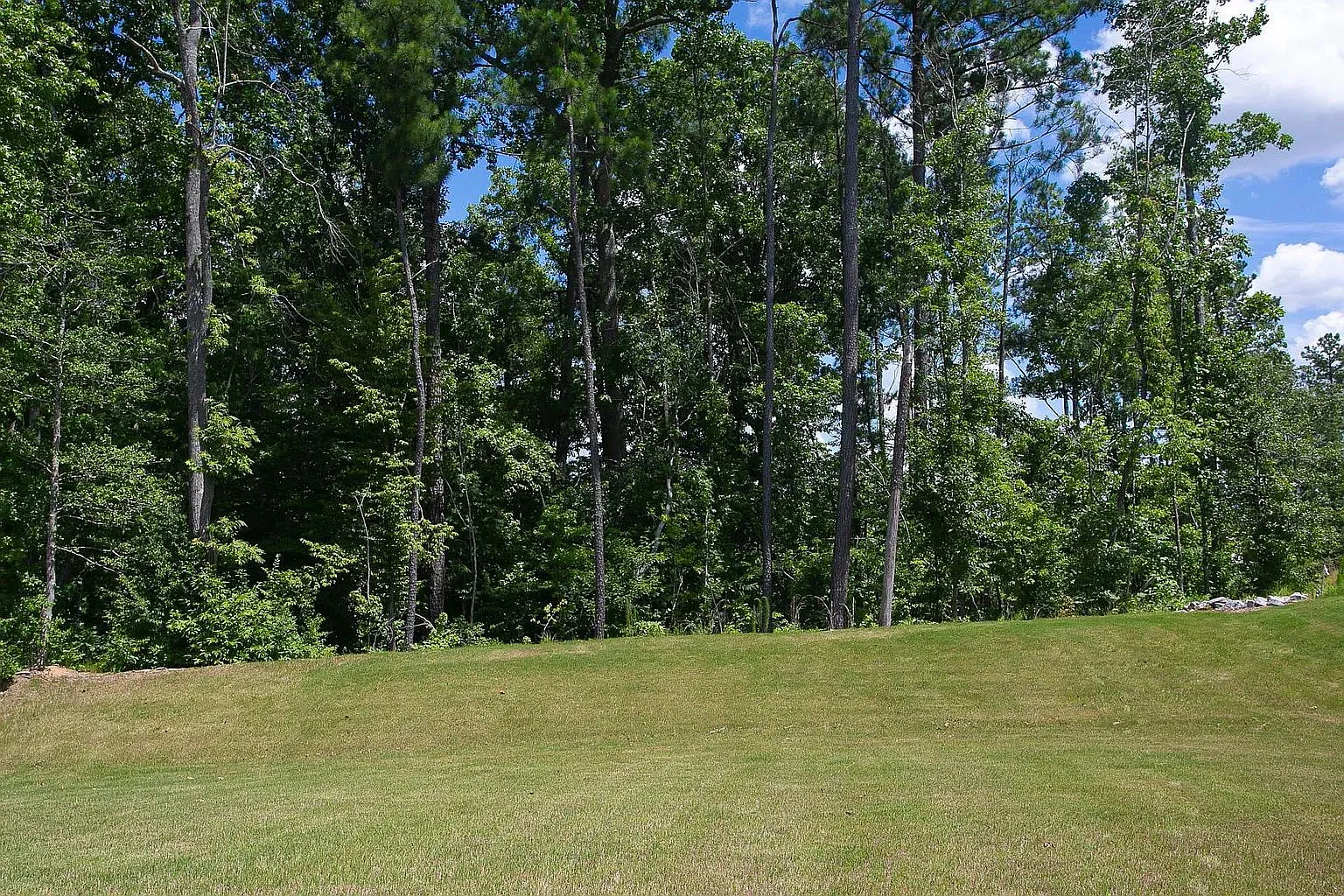 4 bed, 2.5 bath, 2560 sqft, $2,400 — Photo 2