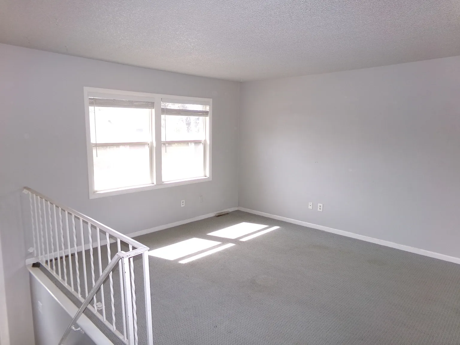 110 Sunflower Drive - 1 — Photo 4